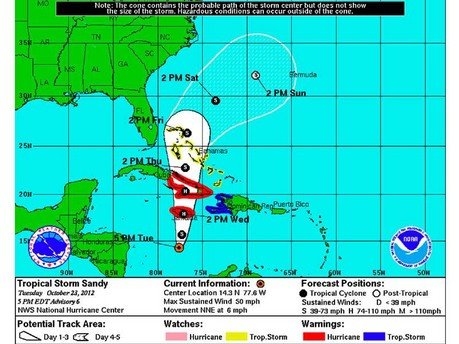 Tropical Sandy Graphic