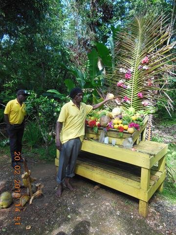 Prospect Plantation - Jamaican Fruits