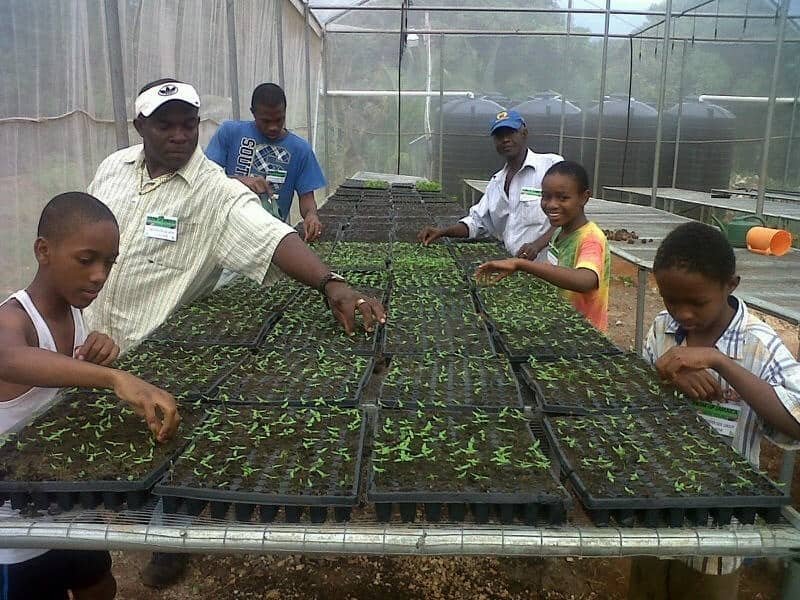 Young and Old Farmers Getting Involved