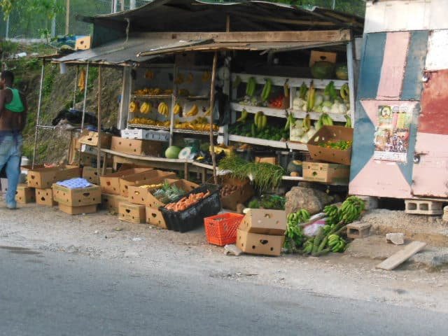 Jamaican Fruits and Vegetables